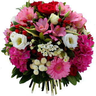 Fleurs anniversaire:
Bouquet Elyse