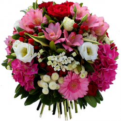 Image du produit Fleurs anniversaire:
Bouquet Elyse