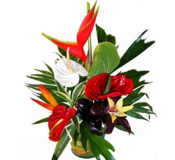Miniature du produit « Fleurs exotiques
Composition Tolède »